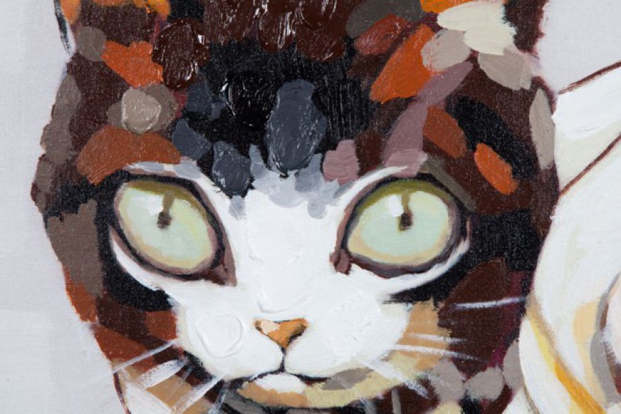 Obraz olejny Pop Art Cat and Dog 50 x 50 - Invicta Interior
